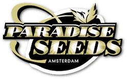 Paradise Seeds