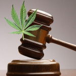Legal-Cannabis-Sensi-Seeds-Blog