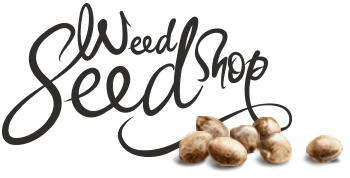 Weed Seed Shop Logo