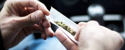 Verbessert Cannabis die Denkleistung?