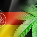 Bundesweit erstes Cannabis-Therapiezentrum in München geplant