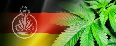 Bundesweit erstes Cannabis-Therapiezentrum in München geplant