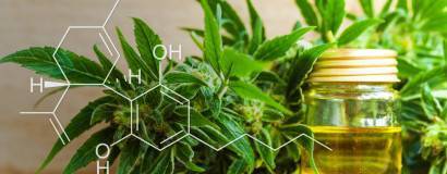 CBD Öl – Zusammensetzung und Wirkung