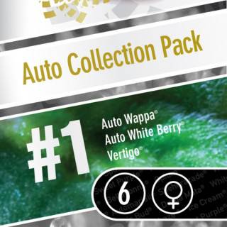 Auto Collection Pack #1