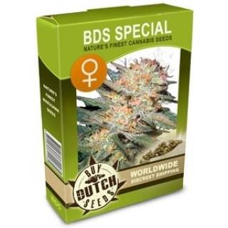 BDS Special Feminisiert