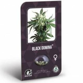 Black Domina Feminisiert (Classic Redux Serie)