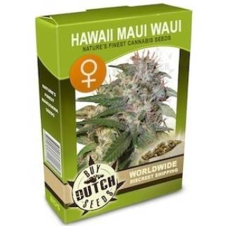 Hawaii Maui Waui Feminisiert