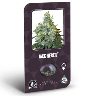 Jack Herer Feminisiert (Classic Redux Serie)