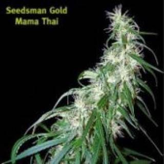 Mama Thai