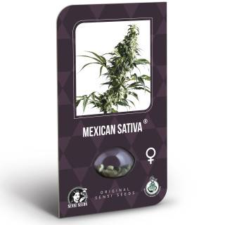 Mexican Sativa Feminisiert (Classic Redux Serie)