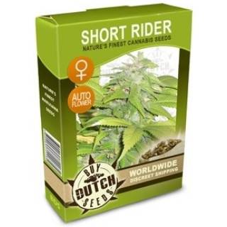 Short Rider Feminisiert Autoflowering