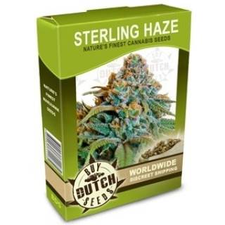 Sterling Haze