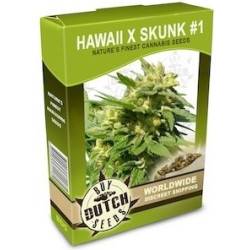 Hawaii x Skunk 1