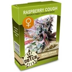 Raspberry Cough Feminisiert